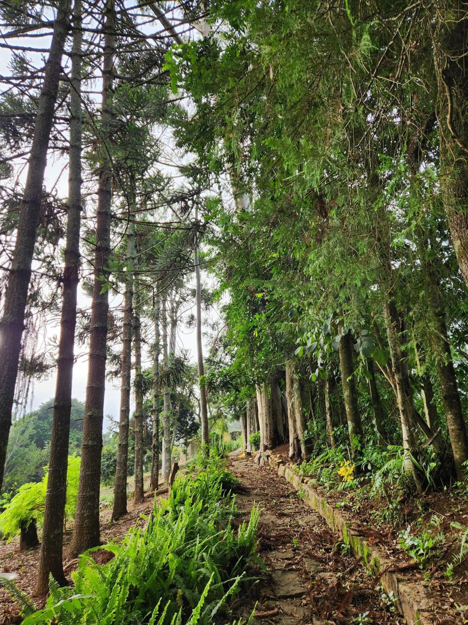 Pousada La Na Roca Paraisópolis 외부 사진